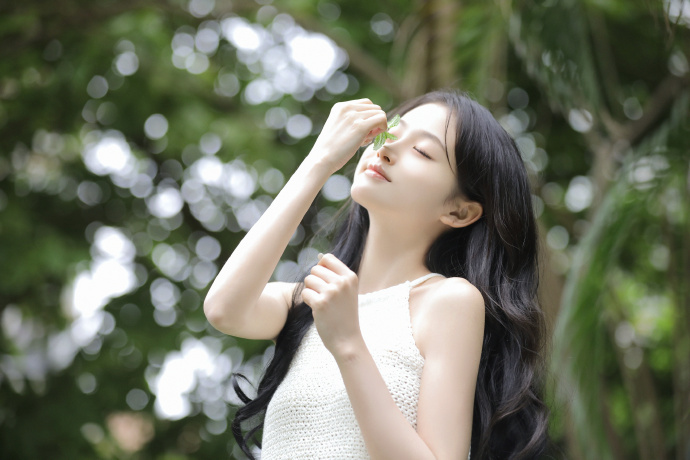 绿皮书 封面