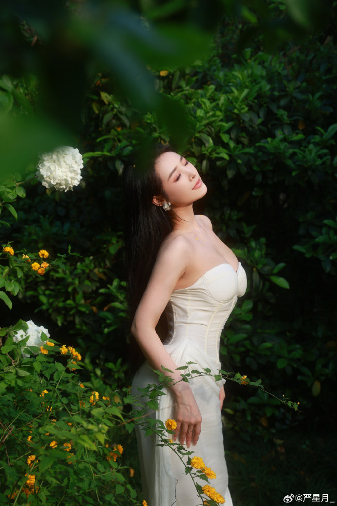 白莲花度假村 封面